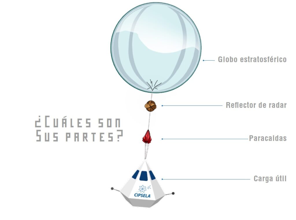 partes globo estartisferico capsula programa aves cipsela