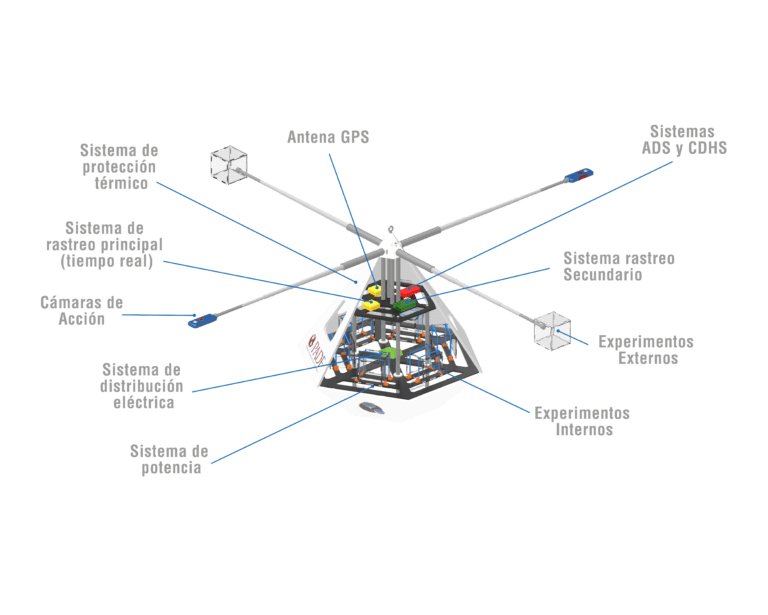 descripcion capsula mohaan programa aves cipsela