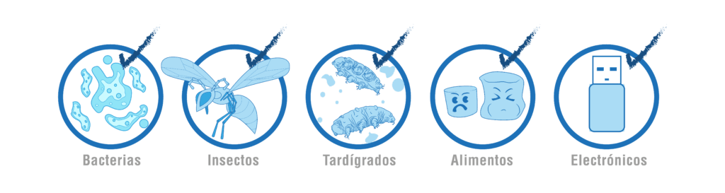 Experimentos programa aves cipsela